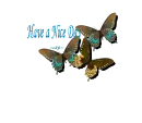 butterfly