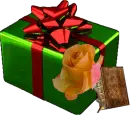 Gift