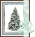 frame