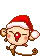 cute monkey
