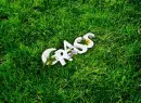 grass