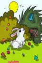 CUTE RABBIT!! k bosoo