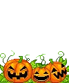 pumkin