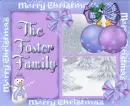 Foster Family