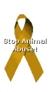 Stop animal abuse