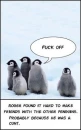 penguins