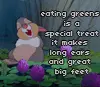 thumper and greens