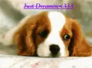 Just dreamin<333