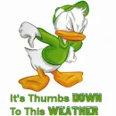 weather
