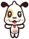 Cute Little Dog