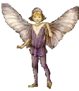 boy fairy