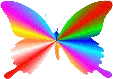 rainbow butterfly