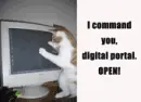 Cat and Computer