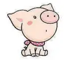 piggy :D