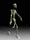 strolling skeleton