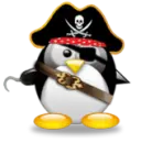 pirate penguin