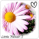 Little Flower