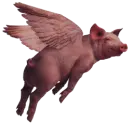 flying pig