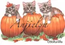 Anjielyn kittys