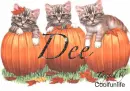 Dee kittys