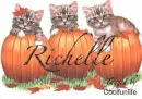Richelle kittys