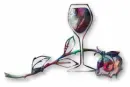 wine and roses