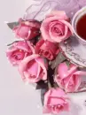 pink roses and tea