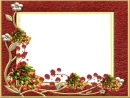 Frame