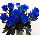 Blue
