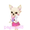 Chiuhuahua Cheerleader