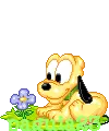 Puppy Pluto and flower
