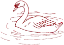 cigno