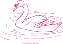 cigno