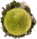 Earth