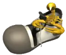 scorpion in shoe
