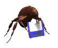 bug eating disk