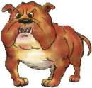 bulldog stance