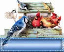 BIRDS