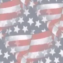 AMERICAN FLAG