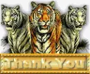 TIGERS