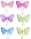 Coloured Butterflys!