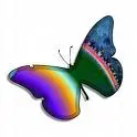 Striped Coloured Butterfly...