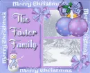 foster family