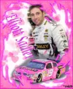 elliott sadler