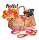 Hello