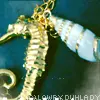 Sea Treasures