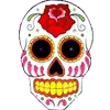 skull changing avatar