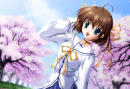 da capo