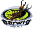 earwig
