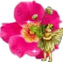 fairy flower glitter